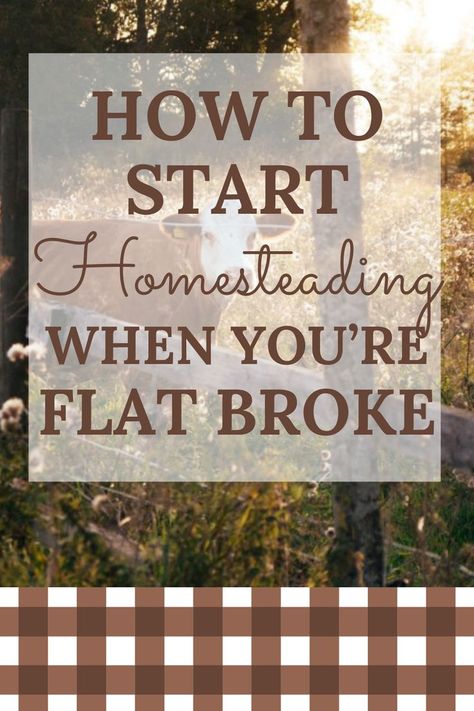 Homesteading ideas for beginners on how to get started homesteading with little to no money, average homestead startup costs, and more! Tiny Homestead Ideas, Beginning Homesteading, Backyard Homesteading For Beginners, Homesteading For Beginners Diy, Off Grid Living For Beginners, Homesteading For Beginners Small Spaces, How To Homestead, Apartment Homesteading For Beginners, Off Grid Living Self Sufficient