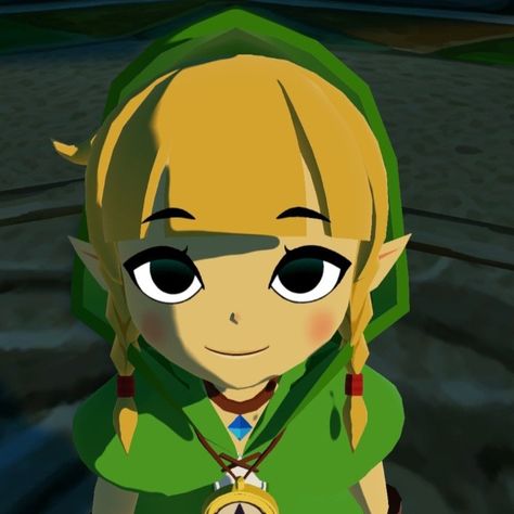 Link Zelda Pfp, Linkle Zelda, Legend Of Zelda Pfp, Zelda Core, Legend Of Zelda Sheik, Zelda Pfp, Zelda Screenshots, Link Icon, Games Icon