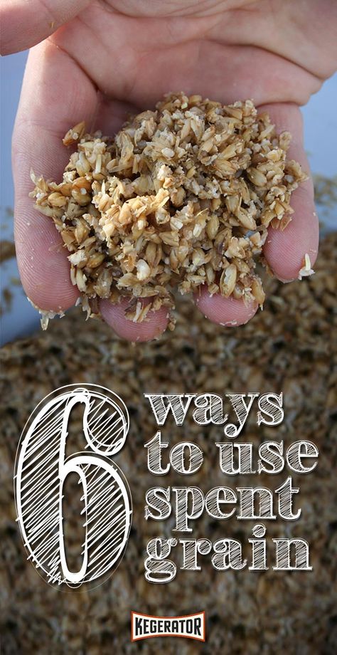 All Grain Brewing, Spent Grain, Beer Brewing Equipment, Brewing Recipes, Homebrew Recipes, Home Brewery, Home Brewing Beer, Brewing Process, Malted Barley