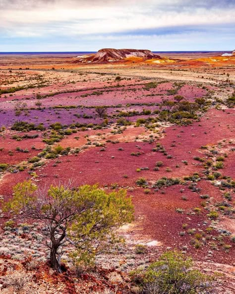 The Breakaways are a fascinating outcrop of deep orange sun-baked mountains near the Outback opal mining town of Coober Pedy.  📸: @_shav_bird_photography Australia Landscape, Painted Desert, Outback Australia, Coober Pedy, Desert Painting, Bird Photography, South Australia, Pretty Places, Australia Travel