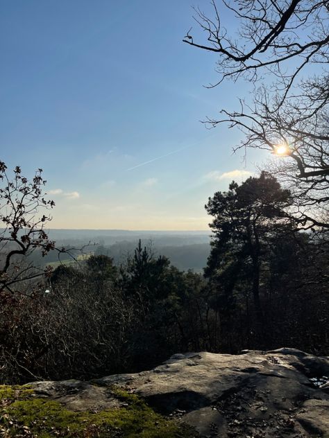 Cliff Forest, Forest Cliff, Winter France, Cliff Edge, Human Pictures, Cliff Jumping, Spooky Stuff, Nature Hikes, Forest Trees