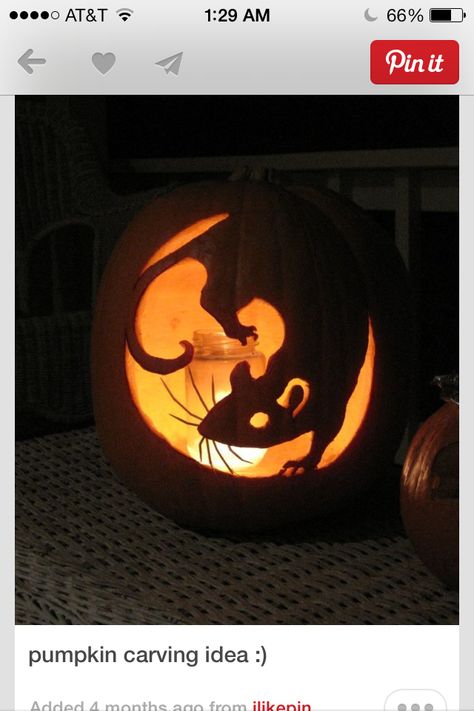 Rattus Simple Jack, Lantern Template, Scary Halloween Pumpkins, Pumkin Carving, Halloween Pumpkin Carving Stencils, Creative Pumpkin Carving, Amazing Pumpkin Carving, Easy Pumpkin Carving, Scary Pumpkin Carving