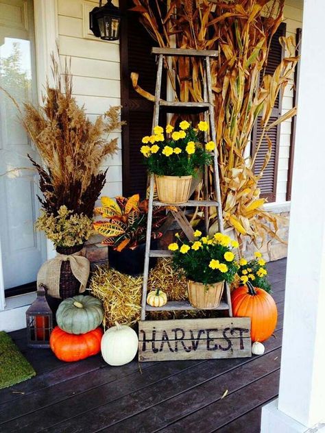 Amazing ways to decorate your front door with fall style  VintageStyleLiving.com Outdoor Fall Decor Ideas, Corn Stalks, Cheap Fall, Fall Front Porch Decor, Fall Deco, Diy Outdoor Decor, Autumn Decorating, Fall Outdoor Decor, Farmhouse Fall Decor