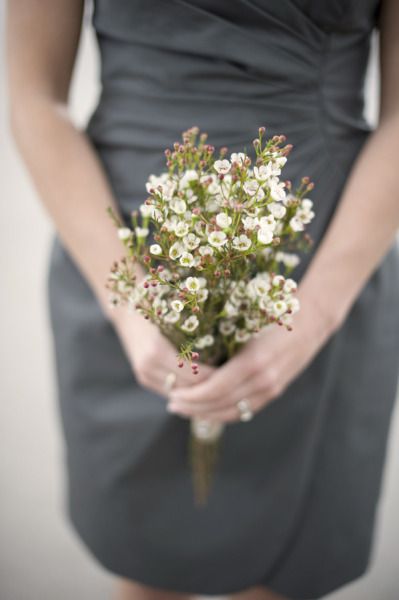 Something like this for the bridesmaids with a few paper roses tied with lace/twine/burlap. Toronto Couple, Small Simple Wedding, Surf Wedding, Small Wedding Bouquets, Simple Wedding Bouquets, Wax Flower, Flower Arrangements Simple, Wedding Flowers Summer, Wax Flowers