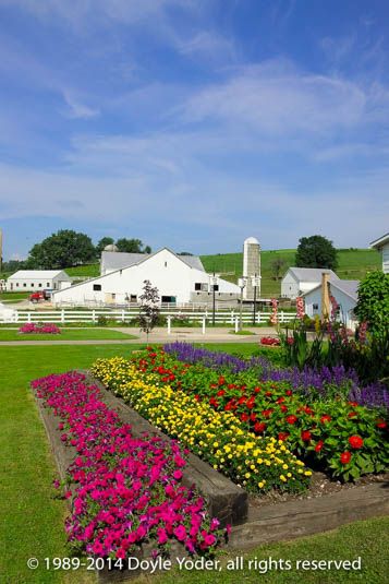 Amish Flower Gardens, Permaculture Backyard, Amish Aesthetic, Flower Farm Homestead, Amish Home, Front Yard Landscaping Diy, Landscaping Diy, Amish Memes Hilarious, Amish Country Ohio