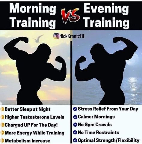 Morning Training, Evening Workout, High Testosterone, Nutrition Sportive, Gym Tips, Martial Arts Workout, Workout Chart, Effective Workouts, Gym Workout Tips