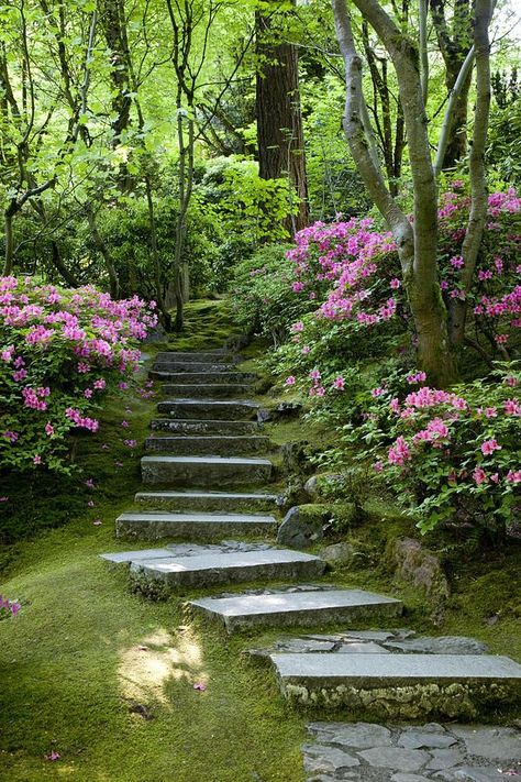 Taman Vintage, Garden Stairs, Garden Steps, Japanese Landscape, The Secret Garden, Garden Pathway, Green Forest, Garden Cottage, Alam Yang Indah