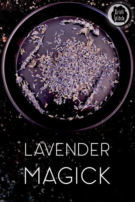 Witch Hacks, Witchy Recipes, Witchy Herbs, Herb Magick, Harvesting Lavender, Lavender Kitchen, Sacred Herbs, Flower Magic, Lavender Recipes