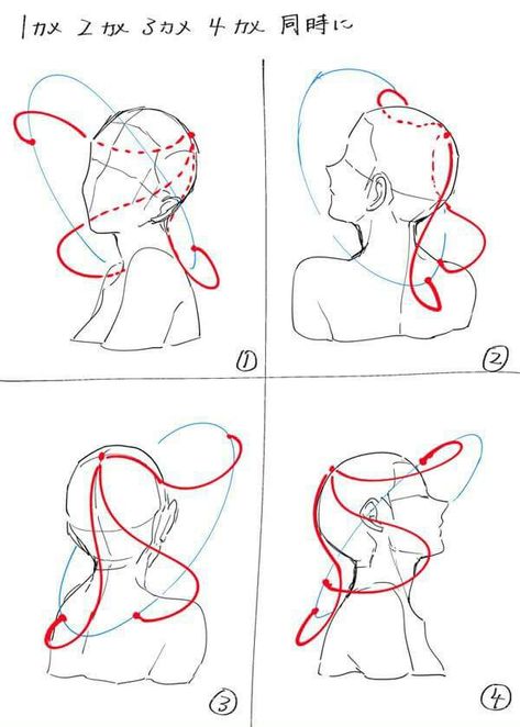 Drawing Hair Tutorial, 캐릭터 드로잉, Figure Drawing Reference, Different Angles, Anime Drawings Tutorials, Drawing Skills, Anatomy Art, Art Tutorials Drawing, Anime Poses Reference