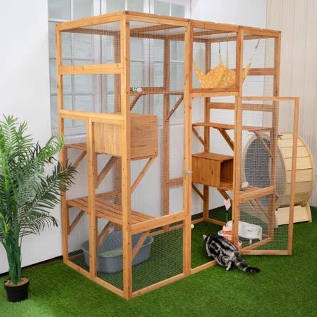 Tucker Murphy Pet™ Cabane Enclosure Catio Outdoor Cat Cage | Wayfair Outside Cat House, Outdoor Enclosure, Cat Playpen, Cat Cage, Cat Houses, Cats Stuff, Outdoor Cat House, Cat Things, Outdoor Cat