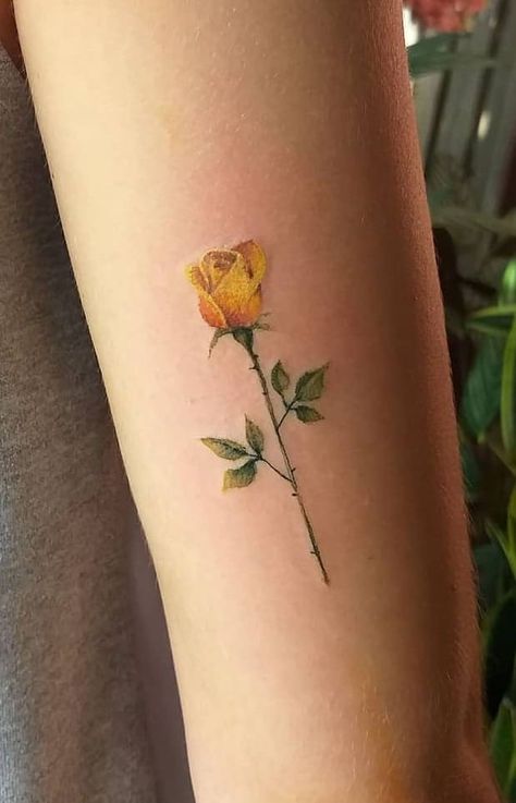 Flowers Roses Tattoo, Yellow Rose Watercolor Tattoo, Realistic Yellow Rose Tattoo, Yellow Tea Rose Tattoo, Yellow Rose Tattoo Small Memorial, Rose Tattoo Yellow, Dainty Yellow Rose Tattoo, Golden Rose Tattoo, Yellow Rose Bouquet Tattoo