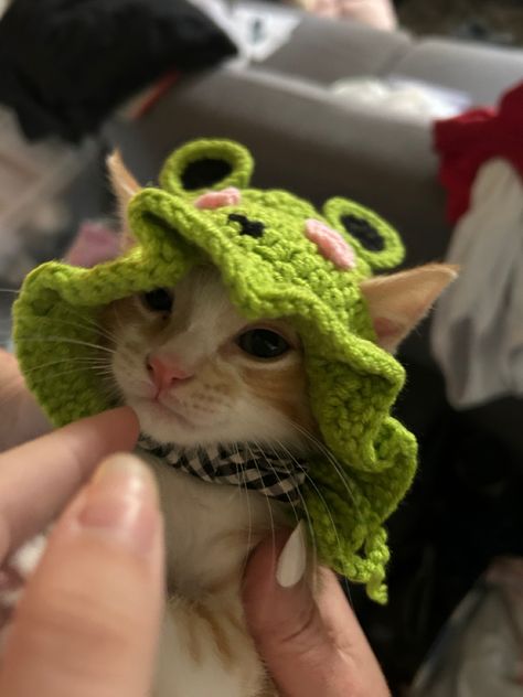 Crochet Mushroom Hat For Cat, Cats With Crochet Hats, Crochet Hats For Cats, Cat Cloud, Cat And Cloud, Crochet Dog Clothes, Crochet Cat Hat, Crochet Mushroom, Cat Hat