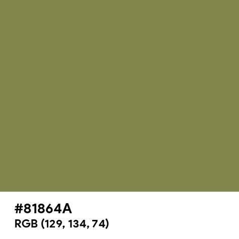 Olive Green color hex code is #81864A Olive Green Hex Code, Green Color Hex Code, Green Hex Code, Green Color Code, Split Complementary Colors, Rainbow Palette, Web Colors, Color Of The Day, Hex Codes