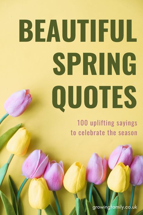 Looking for the best spring quotes or spring captions for instagram? This list has 100 great quotes about springtime to inspire you. Spring Garden Quotes, Spring Time Quotes Inspiration, Spring Blessings Quotes, Spring Quotes Inspirational Life, Springtime Quotes Inspiration, Happy Spring Quotes Inspiration, Quotes About Spring And New Beginnings, Quote About Spring, May Quotes Inspirational