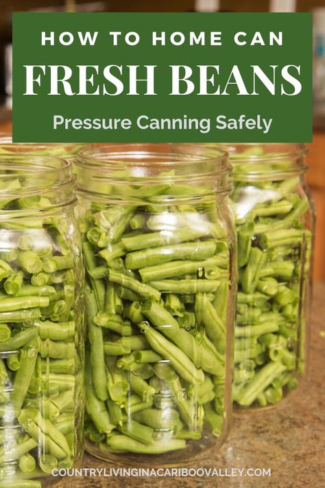 Pressure Can Green Beans, Green Beans Pressure Cooker, Pressure Canning Green Beans, Canning Green Beans, Pressure Cooker Beans, Canning Beans, Canning Granny, Food Canning, Pressure Canning Recipes