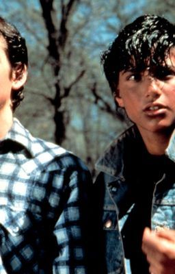 The Outsiders Johnny, The Outsiders Ponyboy, Outsiders Movie, The Outsiders Cast, The Outsiders Greasers, The Outsiders 1983, Teen Movies, Ralph Macchio, Movies And Series