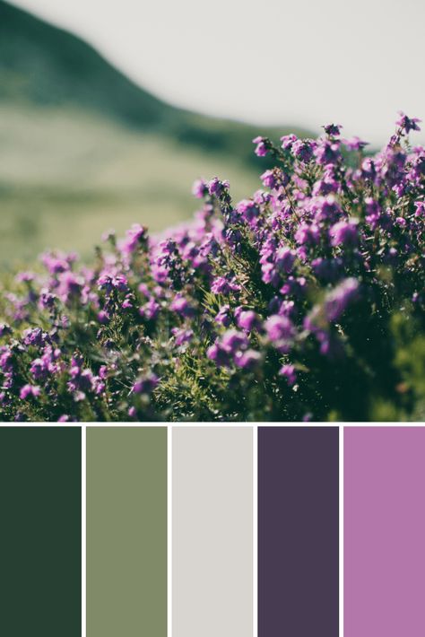 Spring Color Palettes - This Growing Home Enchanted Forest Palette, Purple And Green Interior Design, House Pallete Color Palettes, Lavender Color Pallete, Green And Lavender Aesthetic, Dark Spring Color Palette, What Color Goes With Purple, Purple Green Color Palette, Color Palette With Purple