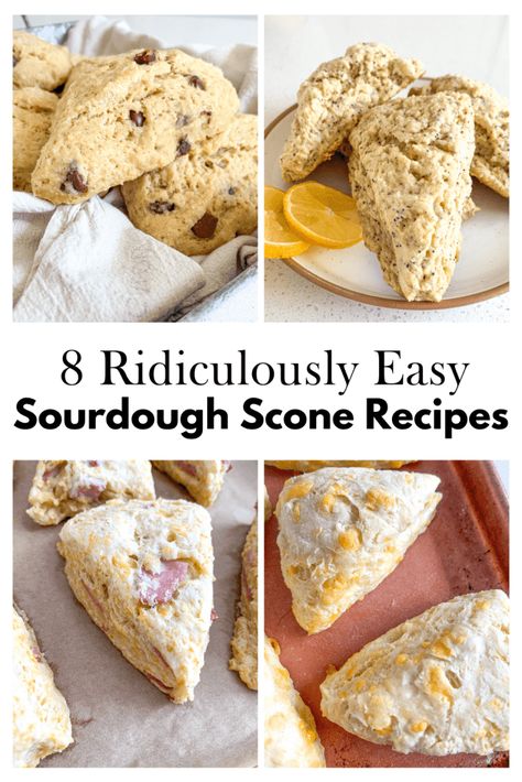 8 ridiculously easy Sourdough Scone Recipes pinterest pin graphic Killing Spiders, Sourdough Scones, Spider Spray, Diy Spider, Recipe Using Sourdough Starter, Lemon Treats, Scone Recipes, Sourdough Starter Discard Recipe, Easy Sourdough