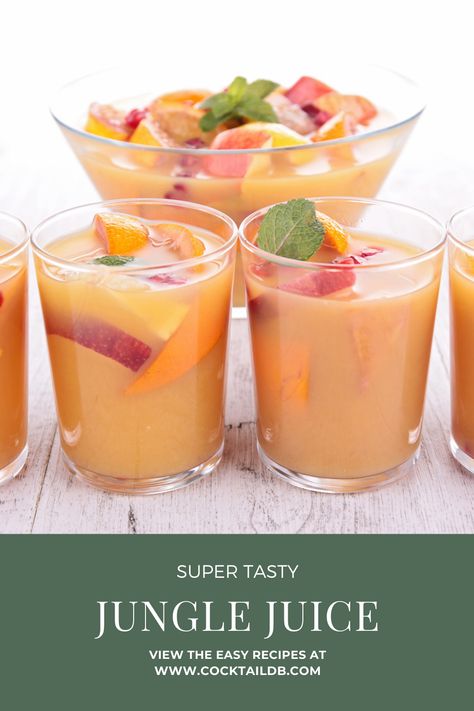 Learn how to make the ultimate punch with this simple recipe, which includes recipes for all of its ingredients. Easy Jungle Juice Recipe, Best Jungle Juice Recipe, Easy Jungle Juice, Jungle Juice Recipe, Lime Lemonade, Lemonade Punch, Jungle Juice, Drink Containers, Juice Recipe