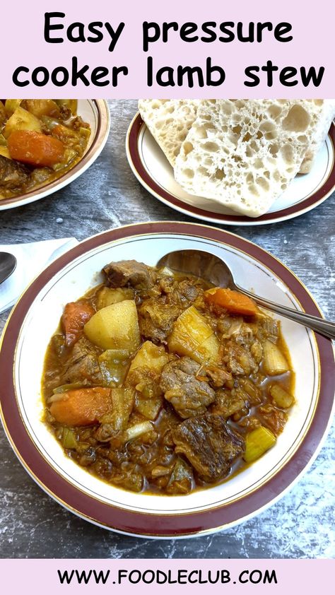 A red-rimmed dish of lamb stew with a spoon. Lamb Neck Stew, Pressure Cooker Lamb, Lamb Stew Recipes, Lamb Leg Recipes, Lamb Leg, Lamb Ribs, Leg Of Lamb, Lamb Stew, Cubed Potatoes