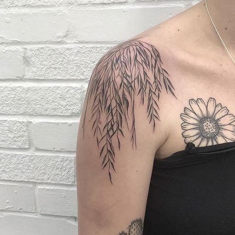 Heartbreaker Tattoo Brighton on Instagram: “Weeping willow by the brilliant @lemat.tattoos 🌾” Tree Shoulder Tattoo, Tree Tattoo Shoulder, Weeping Willow Tattoo, Willow Tree Tattoo, Blatt Tattoos, Tree Tattoo Meaning, Tree Branch Tattoo, Tree Tattoo Forearm, Shoulder Sleeve Tattoos