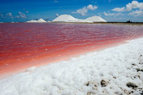 Have you ever wondered why the ocean is salty and why most lakes are not? Here's a look at what makes the sea salty and its chemical composition. Bonaire Island, Ocean Salt, Nature Education, Water Issues, Sea To Shining Sea, Oceans Of The World, Water Droplets, West Indies, Sea And Ocean