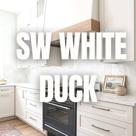 Sw White Duck Kitchen Cabinets, Sw Aesthetic White Cabinets, White Duck Vs Shoji White, Sw White Duck Coordinating Colors, Sherwin Williams White Duck Cabinets, Sw Cabinet Paint Colors, White Duck Sherwin Williams Cabinets, Sw White Duck Cabinets, Sw White Duck Walls