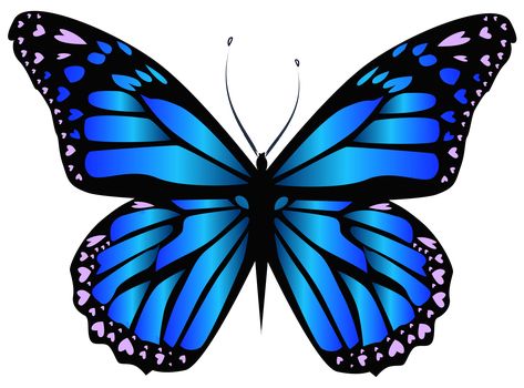 Morpho Azul, Orange And Black Butterfly, Purple Butterfly Tattoo, Butterfly Tattoos Images, Blue Butterfly Tattoo, Art Papillon, Blue Butterfly Wallpaper, Small Butterfly Tattoo, Cartoon Butterfly