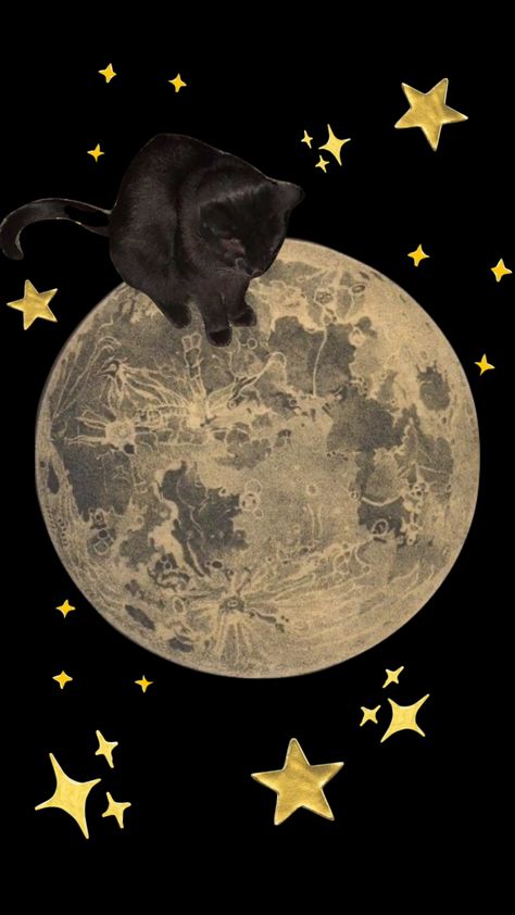 Moon Moodboard, Wallpaper Gatos, Iphone Wallpaper Cat, Cat Moon, Cocoppa Wallpaper, Arte Van Gogh, K Wallpaper, Cat Icon, Star Wallpaper