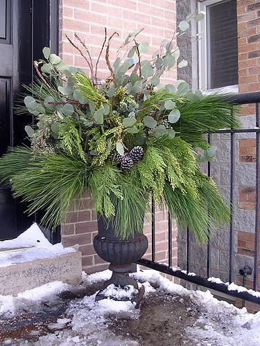 Holiday Urn, Winter Urns, Winter Planter Ideas, Holiday Planters, Winter Pots, Winter Containers, Winter Container Gardening, Winter Planters, Christmas Urns