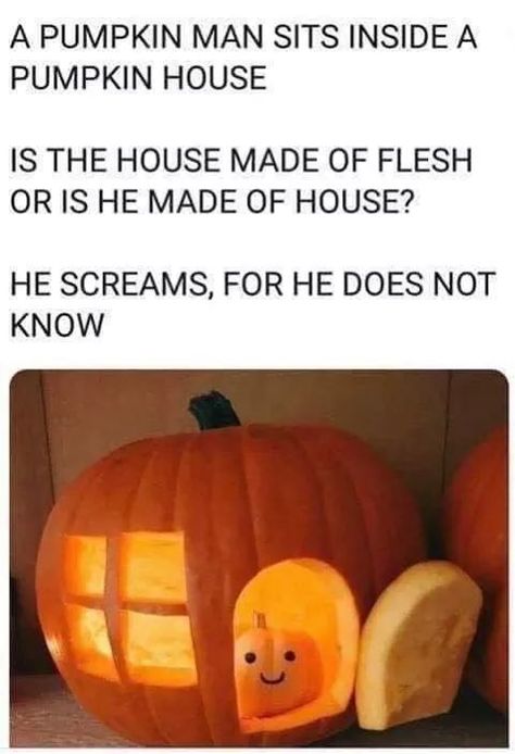 29 Spooky Pics And Memes That Will Scare Boredom Out Of You - Wow Gallery Pumpkin House, Labu Halloween, Pumpkin Man, Halloween Pumpkins Carvings, Really Funny Pictures, Fall Fun, A Pumpkin, Dia De Muertos, Meme Pictures