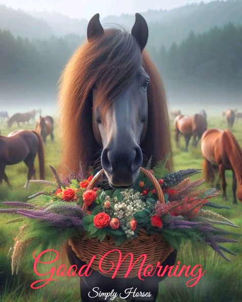 Good morning everyone. Have a lovely day.  ♥️🌻🥰🌻♥️     . #RiseAndShine #MorningVibes #NewDayNewOpportunities #MorningInspiration #EarlyBirdGetsTheWorm #CoffeeTime #DailyDoseofInspiration #QuotesByCatherine #BOOMchallenge Horses Images, Funny Good Morning Wishes, Good Morning Animals, Silly Pics, Good Morning Christmas, Horse Art Print, Morning Quotes Funny, Happy Good Morning Quotes, Have A Lovely Day