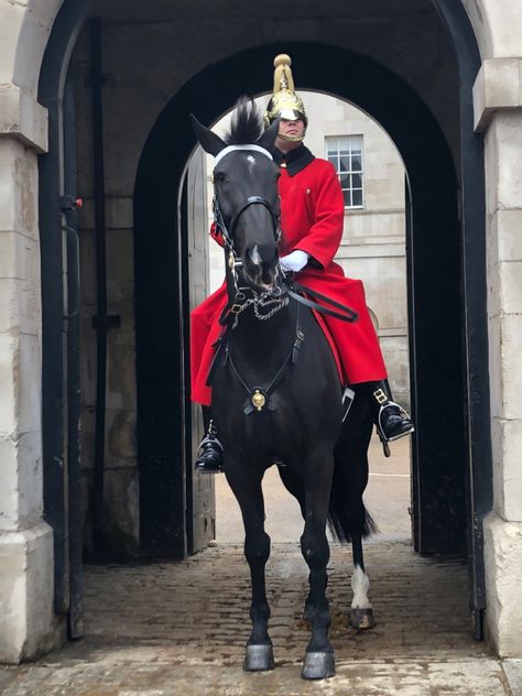 #guard #horse #london #funnyanimals Funny Animals, Horses, London