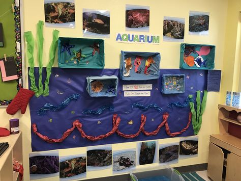 Aquarium dramatic play Aquarium Preschool, Aquarium Dramatic Play, Classroom Aquarium, Shark Study, Dramatic Play Toddlers, Water Theme Preschool, Summer Preschool Themes, Water Study, Water Unit