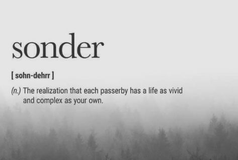 Sonder Quotes, Computer Wallpaper Hd, Stream Of Consciousness, Computer Wallpaper, Inspire Me, Book Quotes, Fox, Quotes, Quick Saves