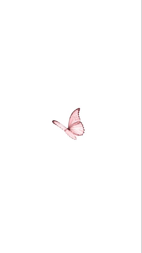 #butterfly #pink #pastel #simple #wallpaper #walpapers #phone Simple Butterfly Background, Pastel Pink Aesthetic Wallpaper Simple, Pastel Pink Butterfly Wallpaper, Background For Insta Highlights, Pink Butterfly Aesthetic Wallpaper, Butterfly Pink Aesthetic, Pink Flower Aesthetic Wallpaper, Butterfly Pink Wallpaper, Simple Butterfly Wallpaper