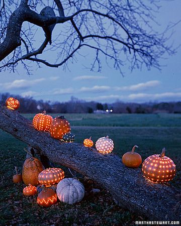 Place Lighted Pumpkins anywhere outdoors with battery operated mini lights. Love it!(Several sets per pumpkin) Dekorasi Halloween, Hallowen Ideas, Halloween Fest, Theme Halloween, Fabulous Fall, Deco Floral, Fall Holidays, Fete Halloween, Samhain