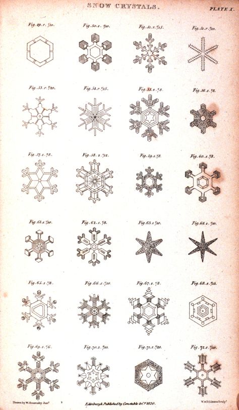 snowflake crystals Crystal Illustration, Nature Snow, Things Organized Neatly, Snow Crystal, Geometric Embroidery, Crochet Snowflakes, Paper Embroidery, Cheap Sunglasses, Paper Snowflakes