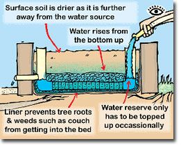 Self Watering Plants, Vegetable Garden Raised Beds, Building A Raised Garden, Garden Vegetable, Veg Garden, Garden Care, Garden Boxes, Self Watering, Veggie Garden