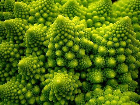 Experimentalized: Fractals And The Mandelbrot Set In Nature!  ~cauliflower~ Romanesco Cauliflower, Macro Fotografia, Romanesco Broccoli, Fractals In Nature, Chou Romanesco, Logarithmic Spiral, Science Images, Geometry In Nature, Art Fractal