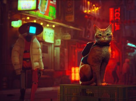 Stray Game Wallpaper, Game Iphone Wallpaper, Stray Game, Hd Wallpapers For Pc, Game Wallpaper, Top Anime, Kitty Games, Adventure Games, Games Images