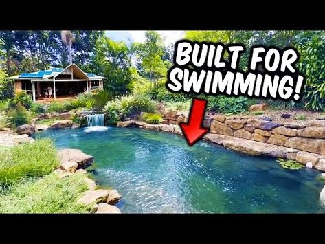 Natural SWIMMING Pool/Pond with Aquarium Fish - YouTube Natural Pond Swimming Pool, Diy Natural Pool, Diy Pond Pool, Natural Pools Backyard Swimming Ponds, Fish Ponds Backyard, Diy Ponds Backyard, Swimming Ponds, Fish Pool, Swimming Pool Pond