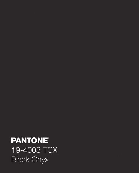 Pantone Black, Studio Vibes, Onyx Color, Darkest Black Color, Black Color Palette, Onyx Colour, Wallpaper Girly, Pantone Colors, Color Vibe