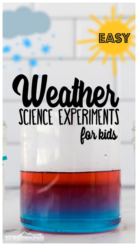 Weather Science Experiments For Kids, Weather Science Experiments, Cloud Experiment, Weather Experiments, Fun Science Experiments, Weather Activities For Kids, Preschool Weather, Science Experiments For Kids, Weather Science