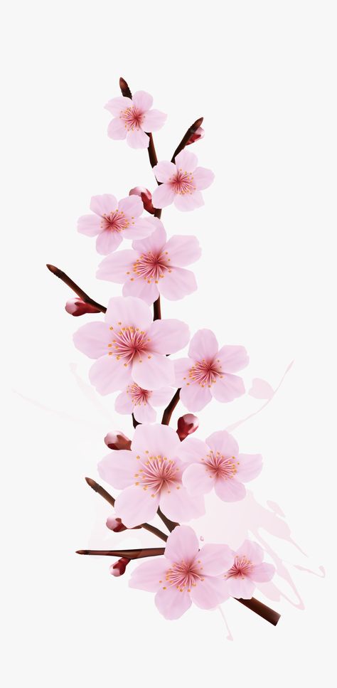 Tattoo Cherry Blossom, Cherry Blossom Png, Tattoo Cherry, Cherry Blossom Tree Tattoo, Cherry Blossom Drawing, Sakura Wallpaper, Blossom Tree Tattoo, Cherry Blossom Watercolor, Cherry Blossom Wallpaper