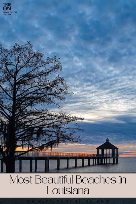 louisiana beaches | Top beaches in louisiana | best beaches in louisiana | Top beach in louisiana | louisiana beach | Beautiful beach in louisiana | does louisiana have beaches | best louisiana beaches | louisana beach | louisiana beaches | lousiana beaches | Clearest beaches in louisiana | louisiana beach | best beaches in louisiana | best beach in louisiana | louisana beach | lousiana beaches | louisiana beaches | Beautiful beaches in louisiana | louisiana beach | best beaches in louisiana Louisiana Beaches, Louisiana Travel, The Bayou, The Carolinas, Dream Beach, Best Beaches, Most Beautiful Beaches, Gulf Of Mexico, Travel Information