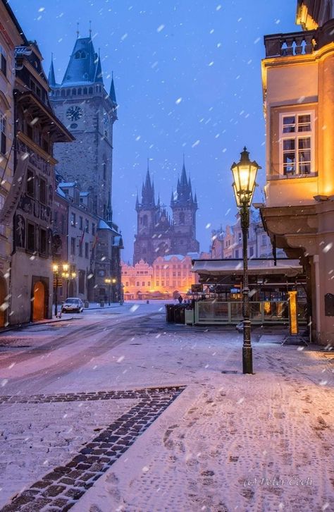 Peter Cech, Prague Christmas, Prague City, Insurance Benefits, Old Town Square, Winter's Tale, Prague Czech Republic, Prague Czech, Wonderful Picture