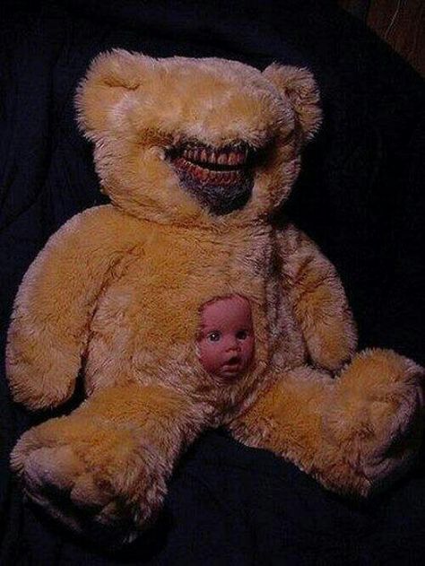 What the...... Scary Teddy Bear, Plushie Diy, Creepy Stuffed Animals, Scary Photos, Creepy Toys, Creepy Photos, Creepy Decor, Creepy Images, Halloween Creepy