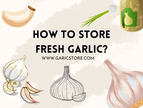 How to Store Fresh Garlic? [Detailed Explanation] - Garlic Store Store Garlic, How To Store Garlic, In A Dark Place, Garlic Bulb, How To Store, Fitness Advice, Fresh Garlic, Keep Cool, Home Recipes