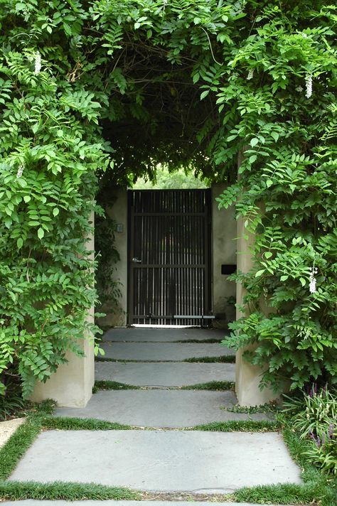 Malvern Garden - Eckersley Garden Architecture, photo cred: Eckersley Garden Architecture Mimi Designs, Brisbane House, Garden Scapes, Garden Entrance, Fence Landscaping, Garden Architecture, Landscape Garden, Courtyard Garden, House Entrance